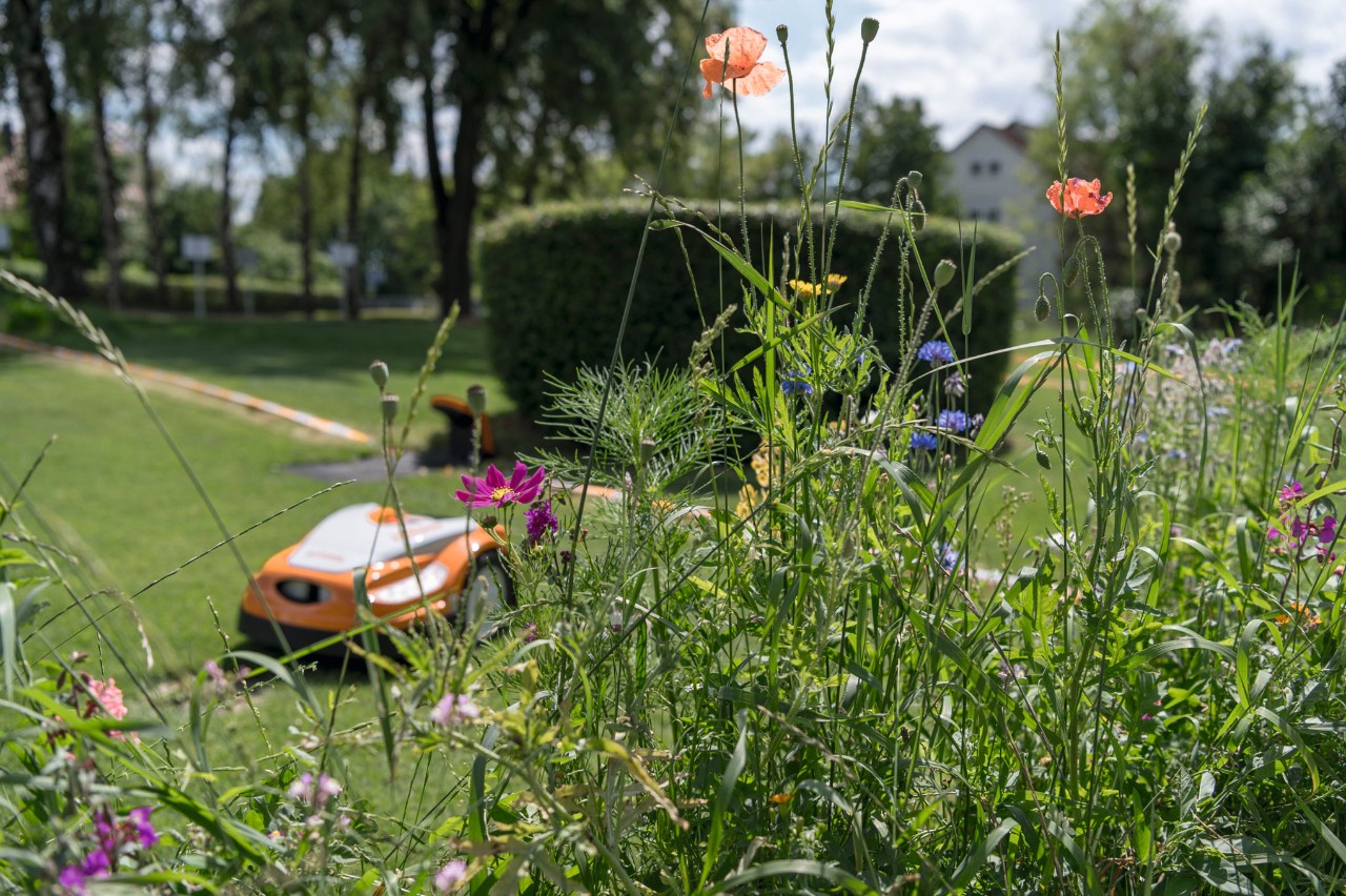 Biodiversité